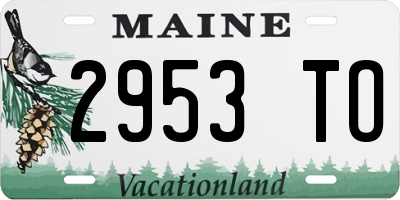 ME license plate 2953TO