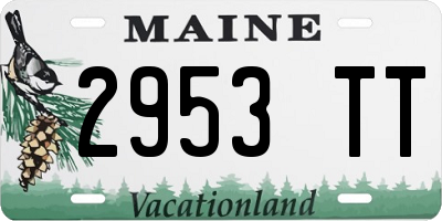 ME license plate 2953TT