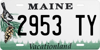 ME license plate 2953TY