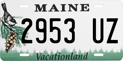 ME license plate 2953UZ