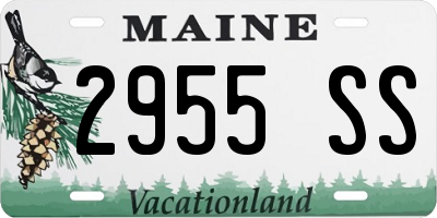 ME license plate 2955SS