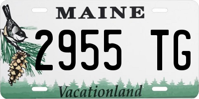 ME license plate 2955TG