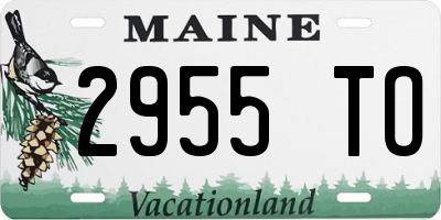 ME license plate 2955TO