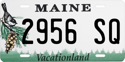 ME license plate 2956SQ