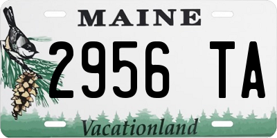 ME license plate 2956TA