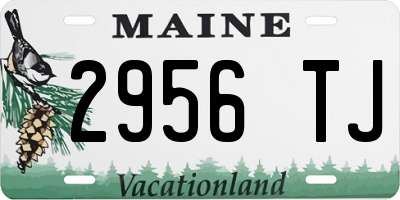 ME license plate 2956TJ