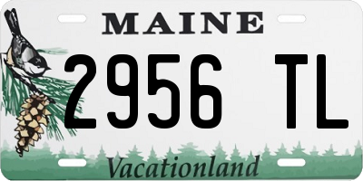 ME license plate 2956TL