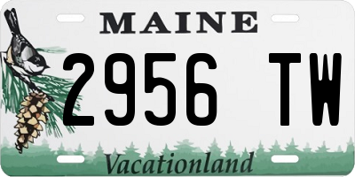 ME license plate 2956TW