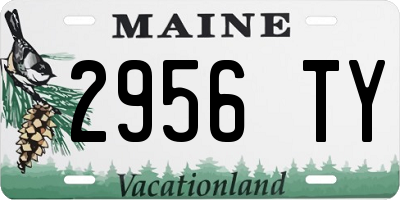 ME license plate 2956TY