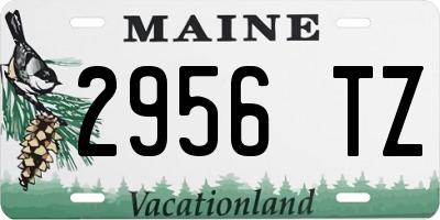 ME license plate 2956TZ