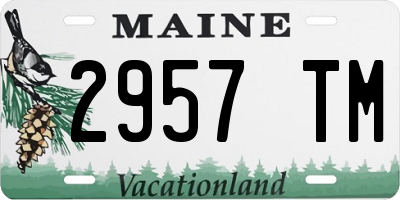 ME license plate 2957TM