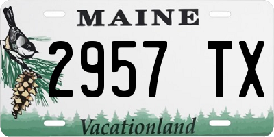 ME license plate 2957TX