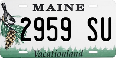 ME license plate 2959SU