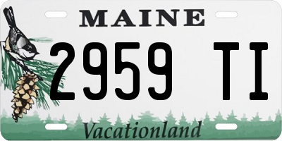 ME license plate 2959TI