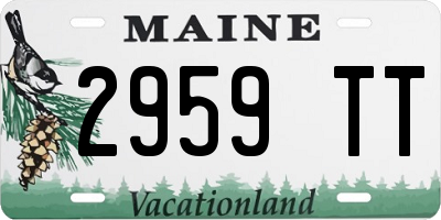 ME license plate 2959TT