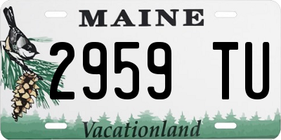 ME license plate 2959TU