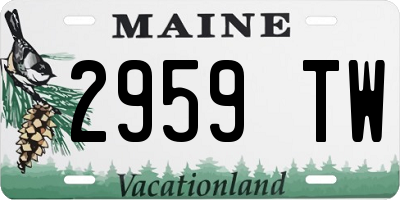 ME license plate 2959TW