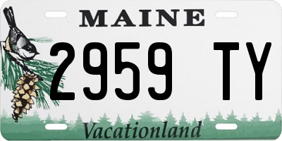 ME license plate 2959TY