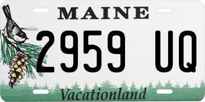 ME license plate 2959UQ