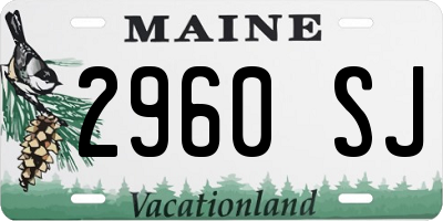 ME license plate 2960SJ