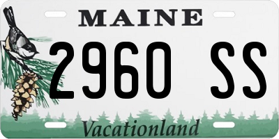 ME license plate 2960SS