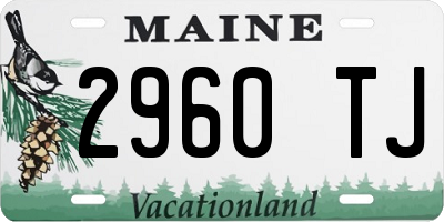 ME license plate 2960TJ