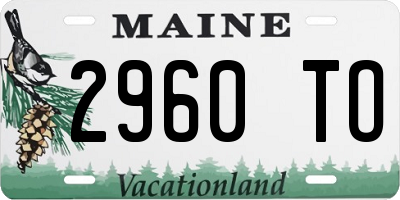 ME license plate 2960TO
