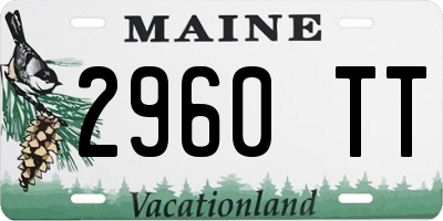 ME license plate 2960TT