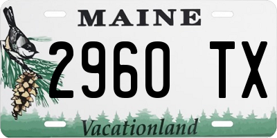ME license plate 2960TX