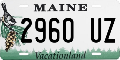 ME license plate 2960UZ