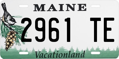 ME license plate 2961TE