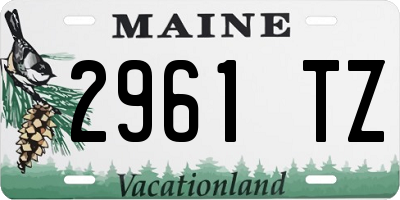 ME license plate 2961TZ