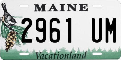 ME license plate 2961UM