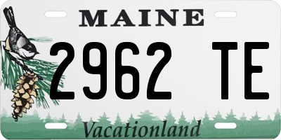 ME license plate 2962TE