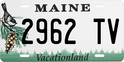 ME license plate 2962TV