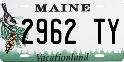 ME license plate 2962TY