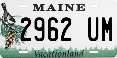 ME license plate 2962UM