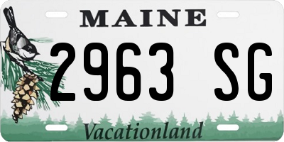 ME license plate 2963SG