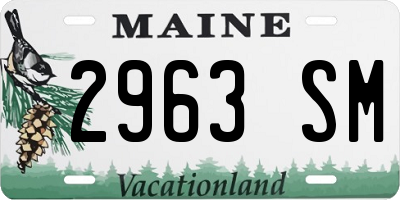 ME license plate 2963SM