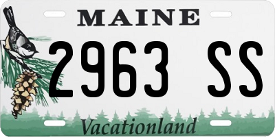 ME license plate 2963SS