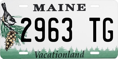 ME license plate 2963TG