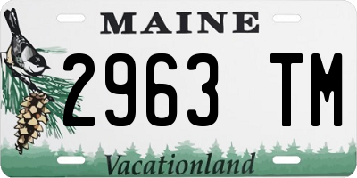 ME license plate 2963TM