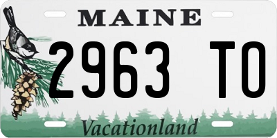 ME license plate 2963TO