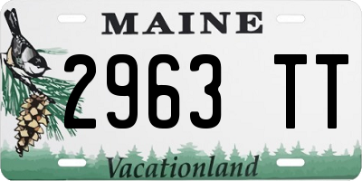 ME license plate 2963TT