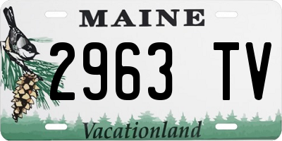 ME license plate 2963TV