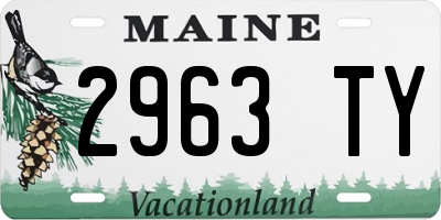 ME license plate 2963TY