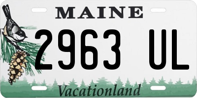 ME license plate 2963UL