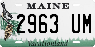 ME license plate 2963UM
