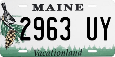 ME license plate 2963UY