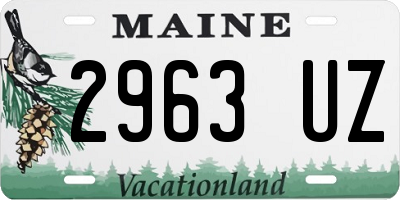 ME license plate 2963UZ